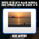 늘제이스테이