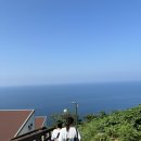 스테이 섬씽 울릉도 이미지