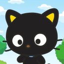 올유스토어 | ꔛ 해피단브이, 초코캣 카톡테마 모음