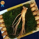 한국유통.선물 이미지