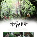 11월27(금)~30/야쿠시마 그 원시숲길 트레킹여행[야쿠시마 항공왕복+럭셔리 그린온천호텔3연박] 이미지