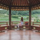 정자중앙길 이미지