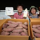 산청(대전) 이미지