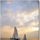 [제주도여행] 샹그릴라와 함께하는 환상적인 해맞이요트투어 3 (10. 01. 10) 이미지