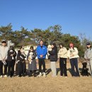 블리스독 이미지