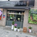미나리꽃돼지 이미지