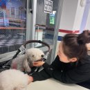 들말농장 | 열심히 노느라 글 쓸 시간도 없었네