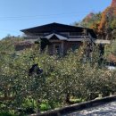 태영농장 이미지