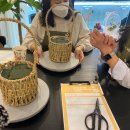 민플라워 이미지