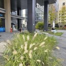 밥플러스 슈퍼스타 당산생각공장 | [문래 맛집] 생각공장 당산 6첩반상 구내식당 《밥플러스 슈퍼스타》