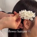 [스튜디오 촬영 #1] 로그에이 스튜디오 플라워 디렉팅 업체 비교, 메이아이플라워 계약 후기
