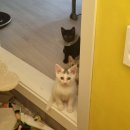 내포 홍성 승우빌딩 이미지