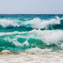 라떼는말이야 이미지