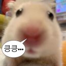 [회기] 몰디브합주실 (합주실 방문기)