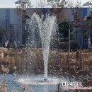 미도아트