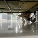 포도마을약국 이미지