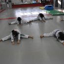 경성태권도 이미지