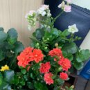 분당푸르지오공인중개사사무소 이미지