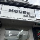 [내돈내산] 베트남 다낭 미용실 ㅣ 요즘 한국인들에게 핫한 MOUSE Hair Salon 후기