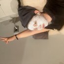 올라인의원 이미지