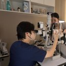 단계동 행정복지센터 | 단계동 동물병원, 강아지 녹내장 안압이 오르면 이미 시작된 응급상황입니다
