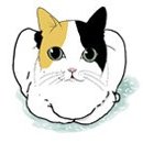 빵굽는고양이 이미지