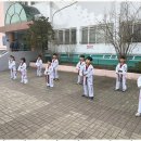 연세대태권도 이미지