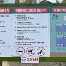 두물머리IC캠핑장 이미지