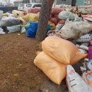 통정1리 이미지