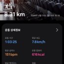 13보름