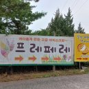 세븐일레븐철원고석정점 이미지