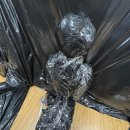 정원여자중학교 | 2512