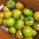 어나더스윗 | 건강한 아침도시락 어나더스윗 대저토마토 맛있다