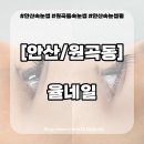 율네일(yulnail,#) | 안산 속눈썹 율네일 속눈썹펌 후기