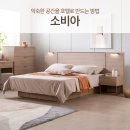 별침대 이미지