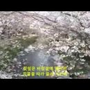 혜성같이 왔다가 유성같이 사라진 그녀는 ＜ 어디쯤 가고 있을까＞ 이미지