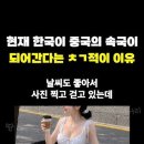 현재 한국이 중국의 속국이 되어간다는 충격적인 이유ㄷㄷ 이미지