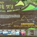 천년숲 이미지