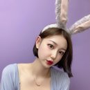 회원동151 이미지