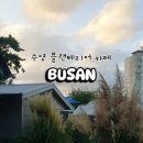 어반플랜트 수영 이미지