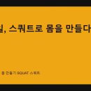 탄탄한 몸 만들기 SQUAT 스쿼트 이미지