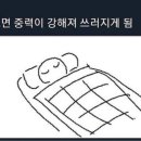 소란한보통날