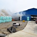 소 외양간 이미지