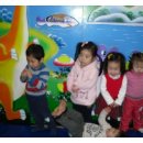 죠이랜드 이미지