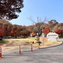 광명 도덕산 캠핑장 이미지