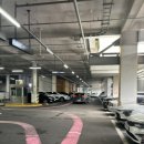 그루밍무무 이미지