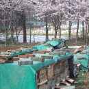 남양3리 이미지