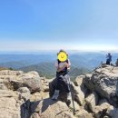 탑클래스 유도짐 | (대구 수성구)탑클래스짐 수성점 PT 후기