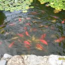 송림가든 이미지