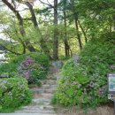 고양시립 아람미술관 이미지